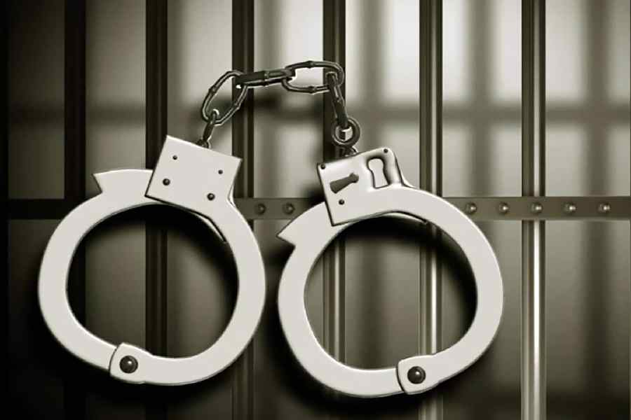দুটি আগ্নেয়াস্ত্র ও গুলিসহ ভাঙ্গড়ে গ্রেফতার দুই বিজেপি কর্মী, চাঞ্চল্য এলাকায়
